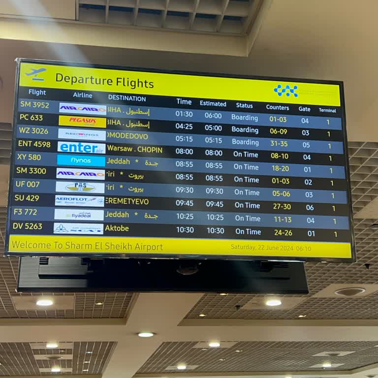 Air Cairo İle Yaşanan Uzun Rötar Ve İlgisizlik