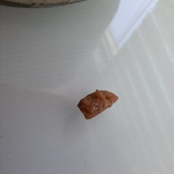 Fiskobirlik İçerisinde Yabancı Cisim Çıktı