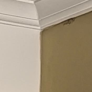 Labranda Ephesus Princess Kuşadası Odaya Kertenkele Girdi