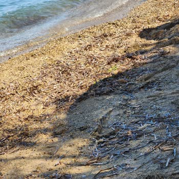 ETS Tur / My Ella Resort Bodrum Haksız Ücret Kesintisi