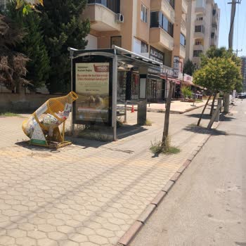 Kahramanmaraş Büyükşehir Belediyesi Otobüs Durağındaki Çöp Kutusu