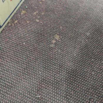 Yeni Diyarbakır Firması İle Kâbus Gibi Bir Yolculuk Deneyimi