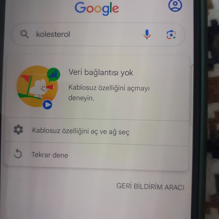 Samsung Telefon S23 Fe İnternete Bağlanma Sorunu