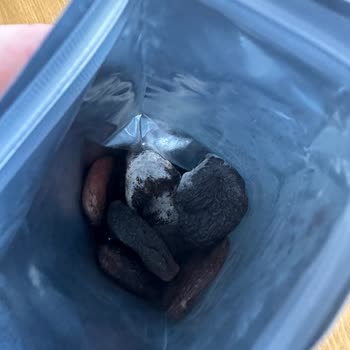 Otto Nuts E-bebekten Aldığımız Otto Kuru Kayısı Ürünü Küflü Çıktı