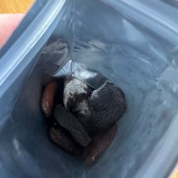 Otto Nuts E-bebekten Aldığımız Otto Kuru Kayısı Ürünü Küflü Çıktı