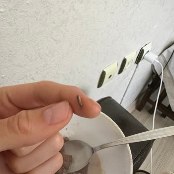 Nesquik Mısır Gevreğinden Böcek Çıktı