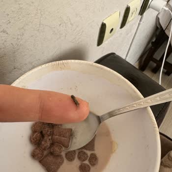 Nesquik Mısır Gevreğinden Böcek Çıktı