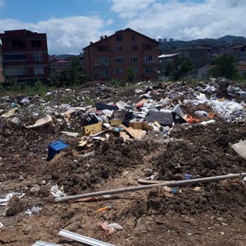 Fatsa Belediyesi Fatsa Da Mahalleye Çöp Atılıyor