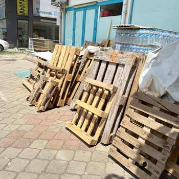 Sebze Meyve Dünyası Görüntü Kirliliği Neden Oluyor