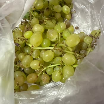 Bir Daha Cepte Şok Uygulamasını Kullanmam!