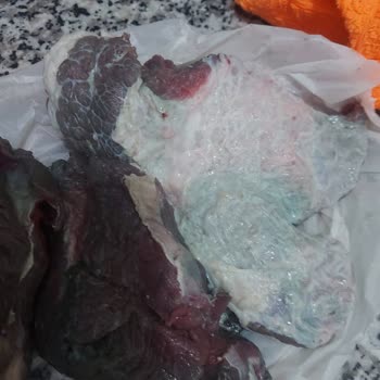 Kemet Çiftliği Kement Çifliği Bozuk Et Geç Getirme Ve Kg Eksik