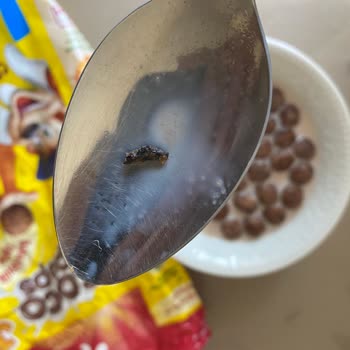 Kellogg's Kellogg’s Coco Çöps Skandalı