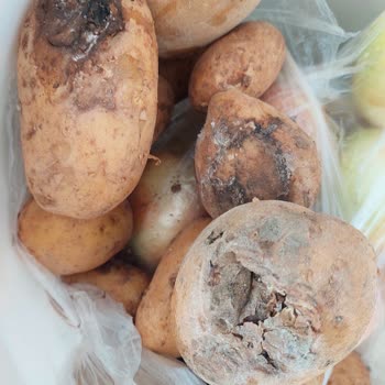 Cepte Şok Market Uygulaması Satılamaz Ürün Gönderiyor
