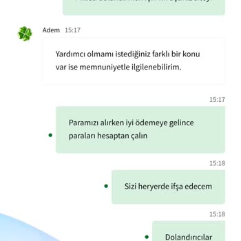 Betwild Sitesi Üzerindeki Ödeme Sorunları Ve Hesap Güvenliği