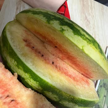 BİM'in Bozuk Ürünleri