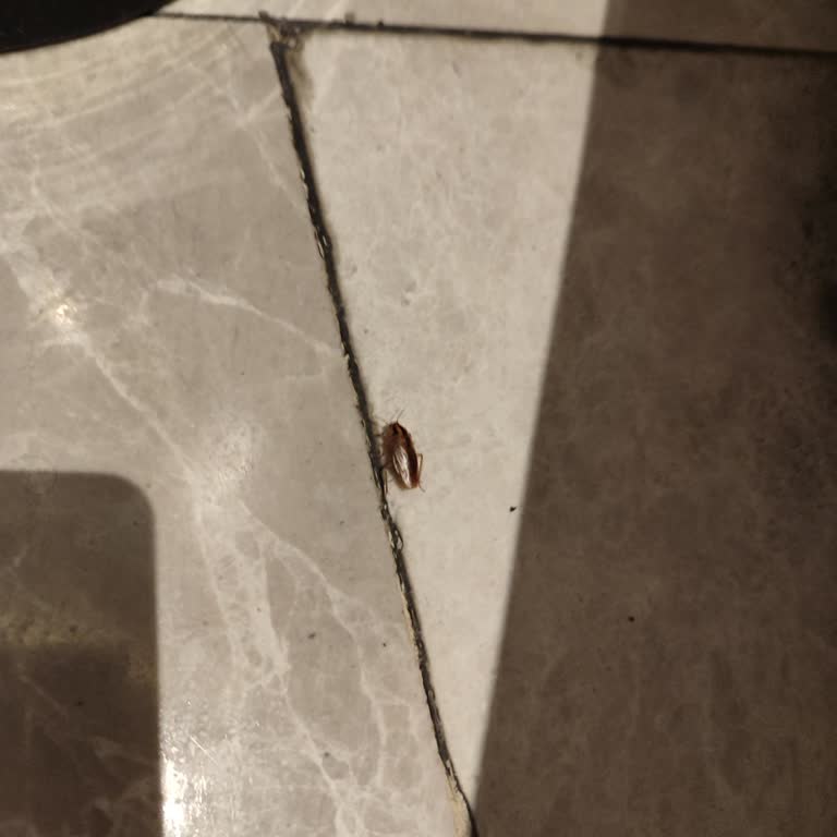 Canpark AVM Tuvaletlerinde Hijyen Sorunu