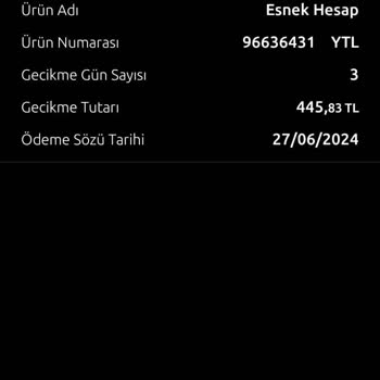 Yapı Kredi Bankası'nda Hatalı Gecikme Faizi Sorunu