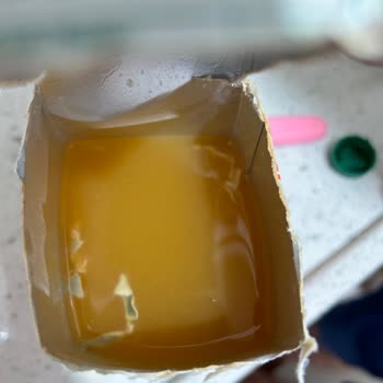 İçim Meyve Suyu İçinden Çıkan Küf