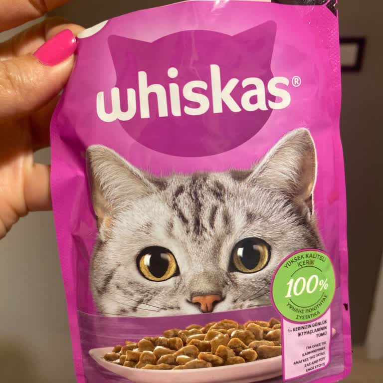 Моя кошка, которая ела влажный корм Whiskas, постоянно рвет
