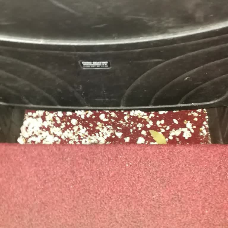 Flyinn Cinefly Sinema Salonunun Pis Olması Hak.