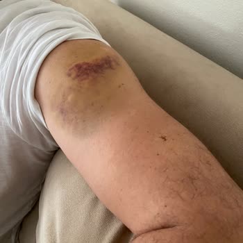 Enjoy Zone Safari Mağdur Etti