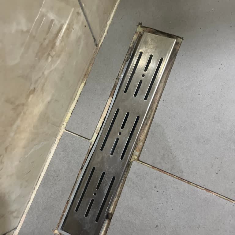 Euphoria Hotels Balayı Deneyimi Ve Otel Hizmetleri Üzerine Değerlendirme