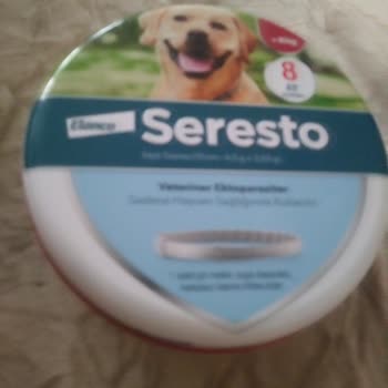 My Elanco Seresto Tasma İltihaplı Yaralara Sebep Oldu!