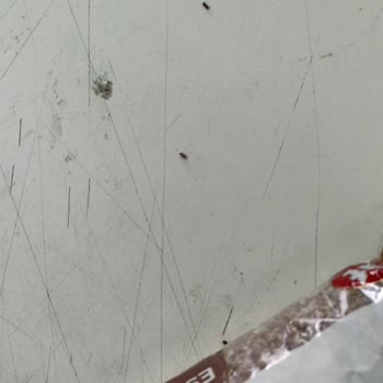 A101 Böcekli Kapalı Paket Bulgur