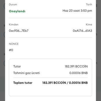 Metamask Varlıklarım Kayboldu, Göremiyorum