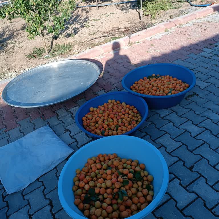 Selçuklu Belediyesi (Konya) Selçuklu Belediyesi (Konya) Sinek Dolu Güvenç Mahallesi