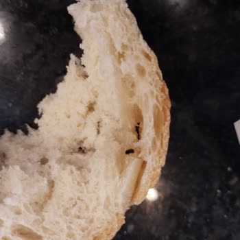 Migros Ekmeğinde Böcek Çıktı