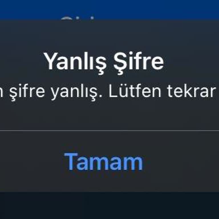 Instagram'a Giriş Yapamıyorum!