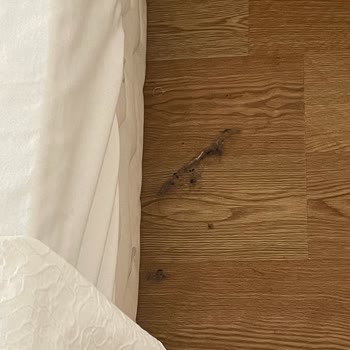 Ay Işığı Otel En Pis Otel