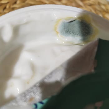 Nilky Yoğurt Küflü Çıktı
