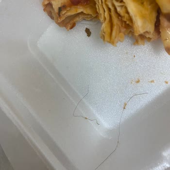 Öncü Döner Gümüşhane Öncü Şubesinden Uzak Durum Kıl Ve Saç Yemek İsteyeni Bilemem