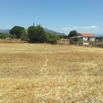 Sahibinden Arsa Konum Ve Adresinin Düzeltilmesi