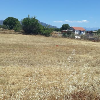 Sahibinden Arsa Konum Ve Adresinin Düzeltilmesi