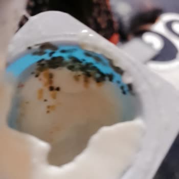 Sütaş Büyümix Sütlü Bisküvili Küflü