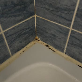 Etstur Hayal Kırıklığı Yaratan Tatil Deneyimi!