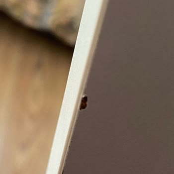2 Haftadır Eşyalar Ortada Kurulum İçin Beklenmekte - Kelebek Mobilya