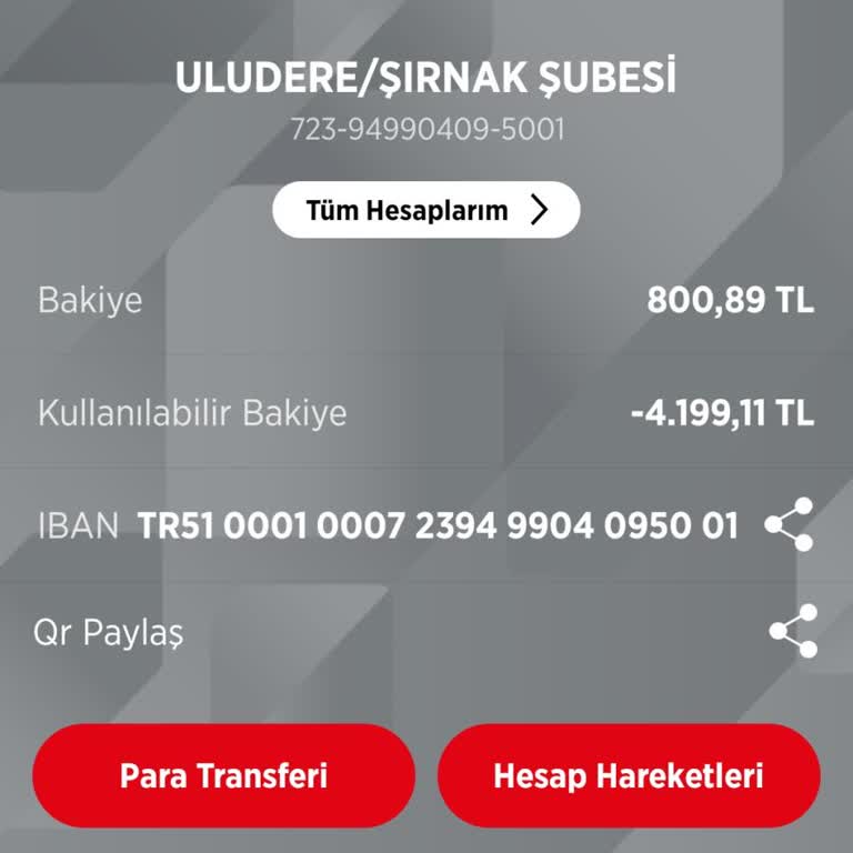 Ziraat Bankası Para Var Ama Yetersiz Bakiye Diyor