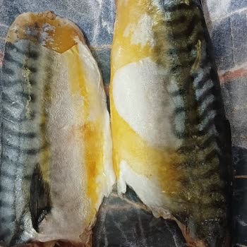 Balık Dünyası Dondurulmuş Uskumru Fileto