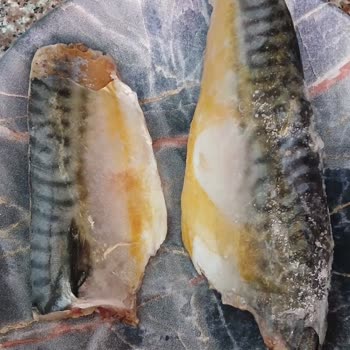 Balık Dünyası Dondurulmuş Uskumru Fileto