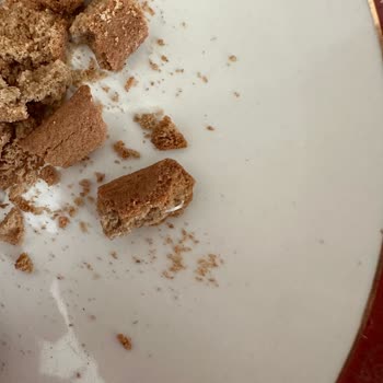 Hünnap Doğal Yaşam Ürünleri Hünnap Marka Bebe Bisküvisinin İçinden Plastik Çıktı