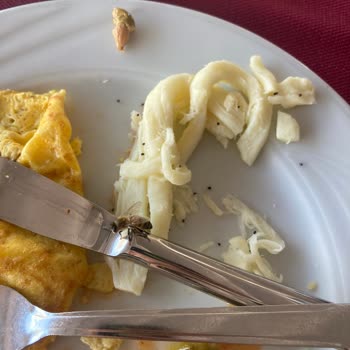 Daima Biz Kiriş Otelden Memnun Kalmadık!