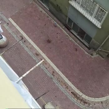 Zeytinburnu Belediyesi Gökalp Mahallesi Temizliği Sorunu!