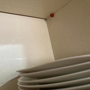 Karaca Züccaciye Karaca'dan Aldığım Yemek Takımı Hayal Kırıklığı Yarattı!