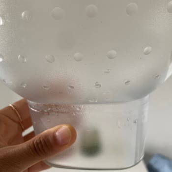 Britanya Sürahim Yosun Tuttu