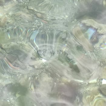 Beltur Plajında Beklenmedik Sorunlar Ve Hayal Kırıklığı