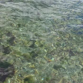 Beltur Plajında Beklenmedik Sorunlar Ve Hayal Kırıklığı